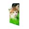 3M Command™ Poster Strips